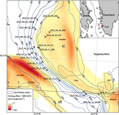 Identification of a Soft Coral Garden Candidate Vulnerable Marine Ecosystem (VME) Using Video Imagery, Davis Strait, West Greenland